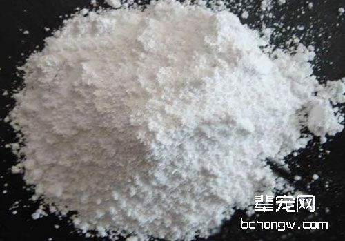 适合猫咪清热解毒的中药