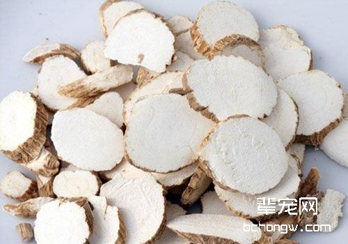 中医治猫病之解表药