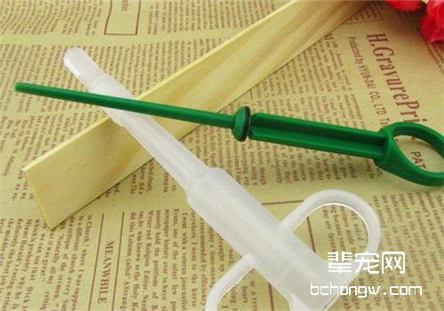 如何给猫咪喂食口服药