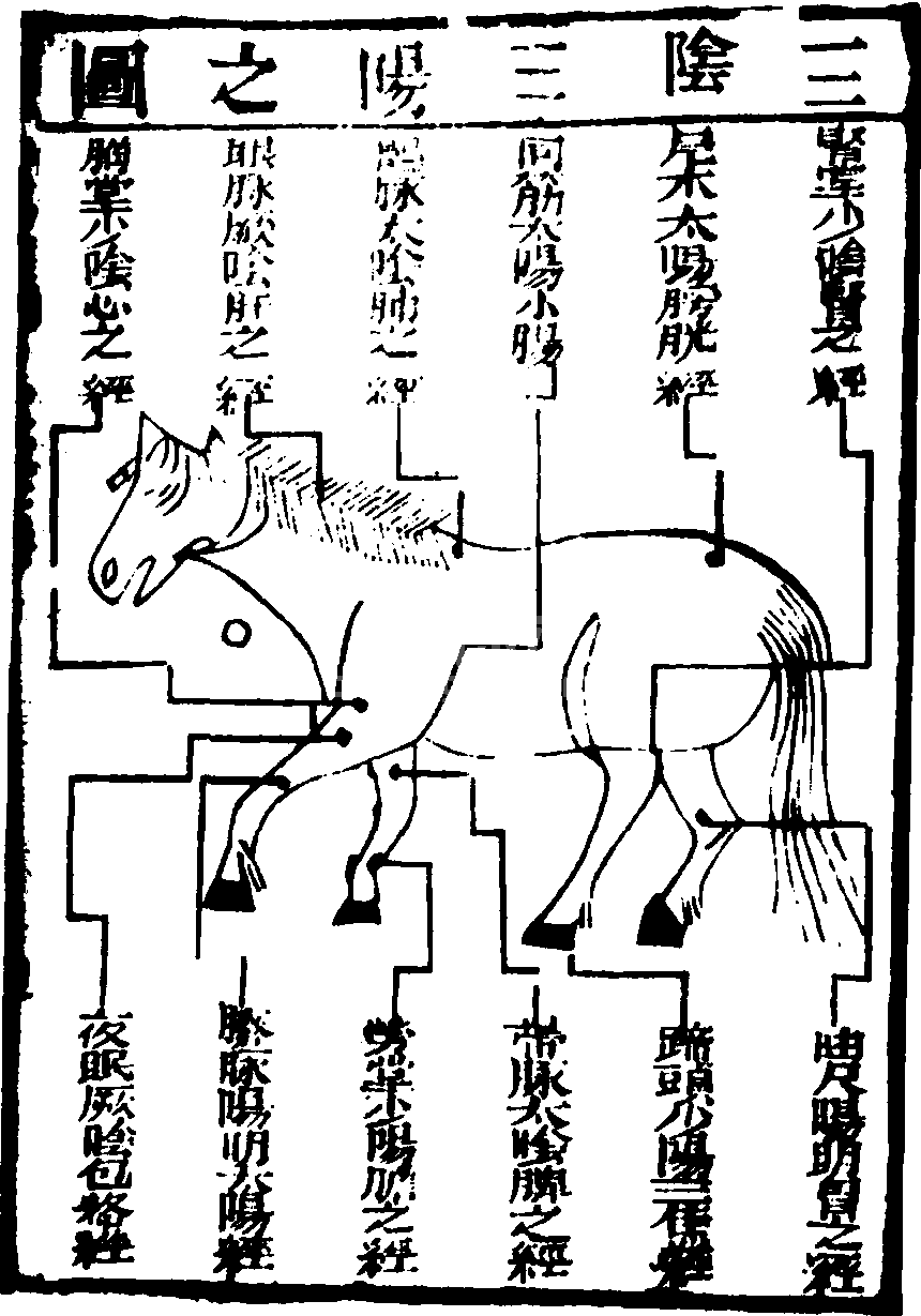 十二经脉