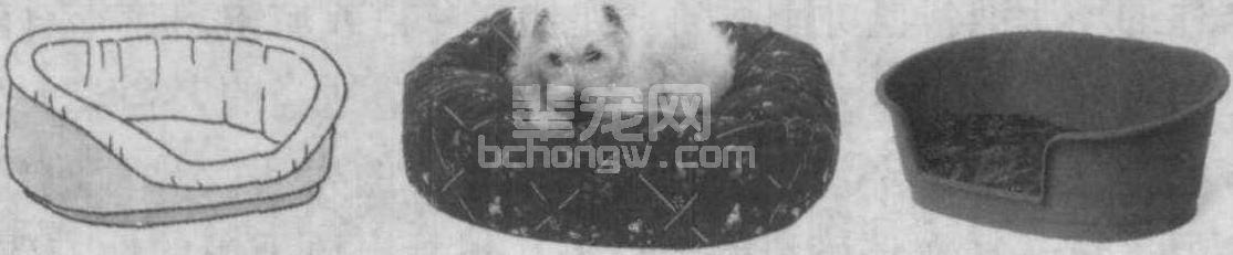 4.1 养犬前的准备工作