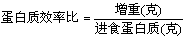 蛋白质效率比