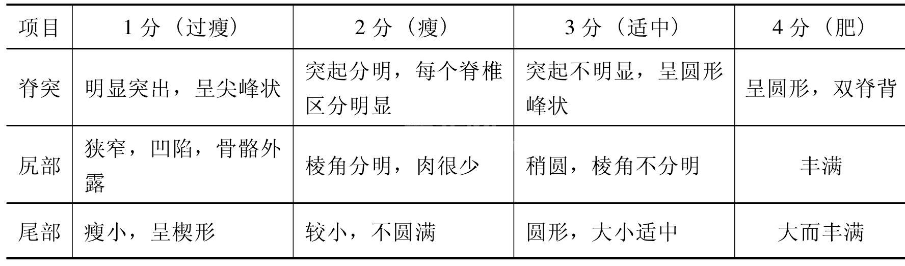 体况鉴定