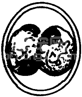 (二) 失血性贫血疾病