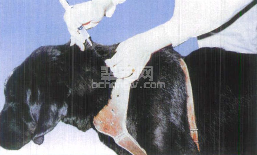 图1-7 皮下注射法