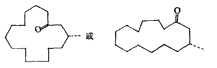 27278麝香