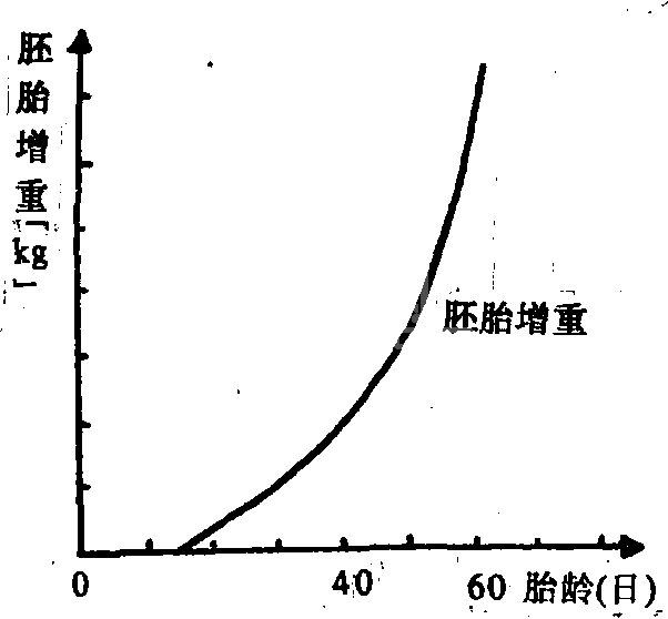 妊娠母犬饲养管理法