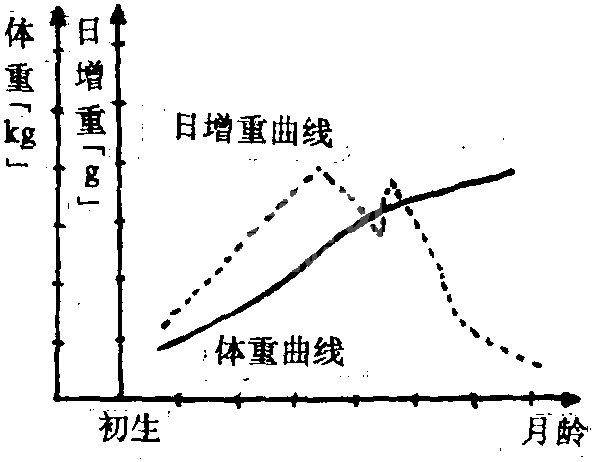 幼犬的生长发育特点