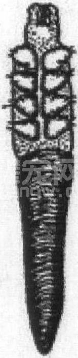 一、犬蠕形螨病