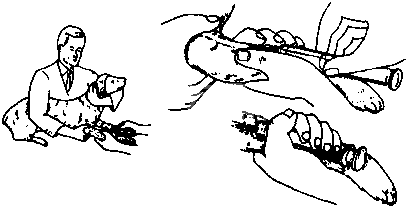 四、注射法