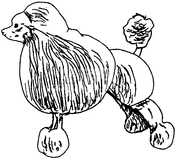 狮犬修剪