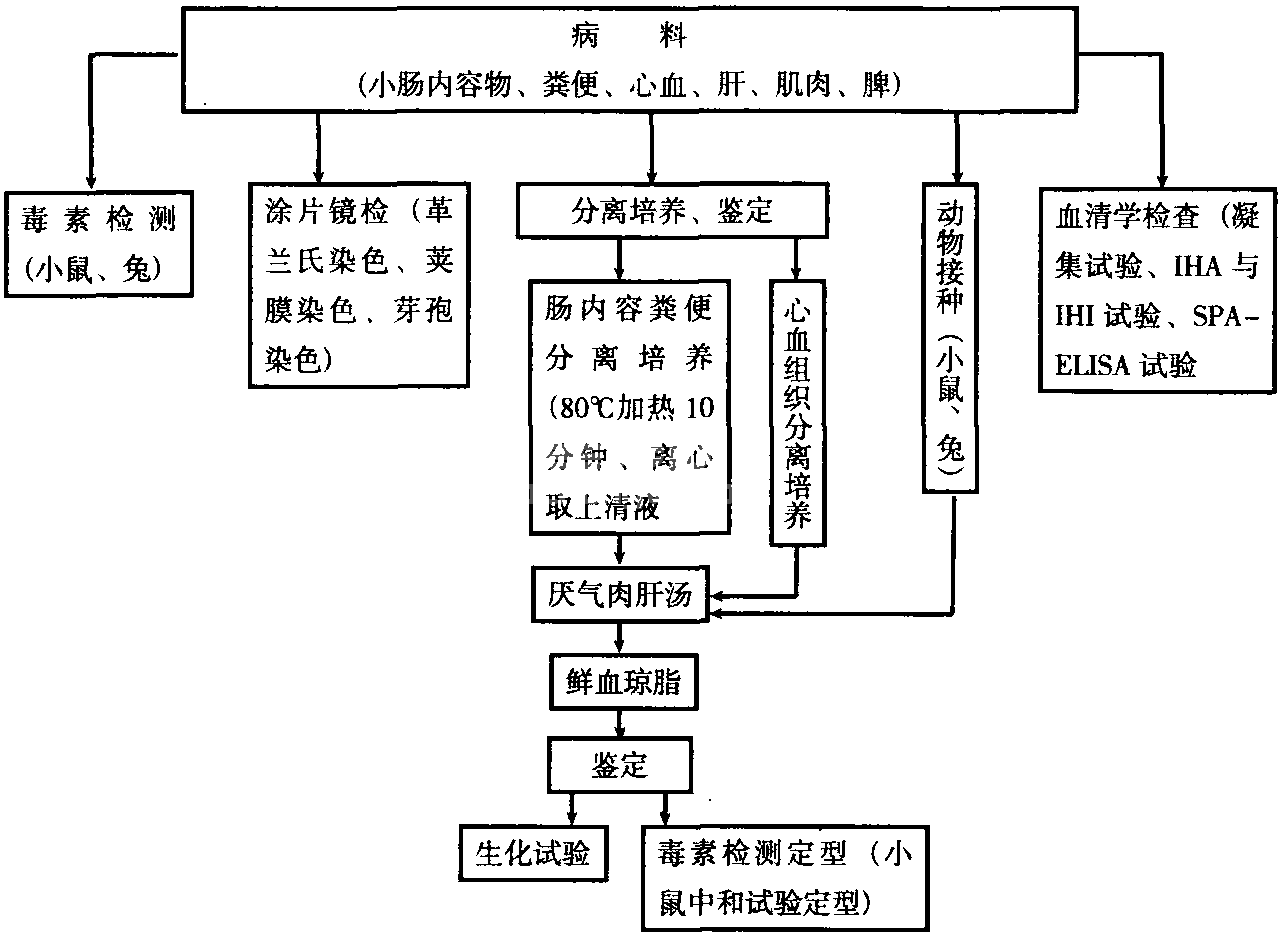 十六、犬猝死症