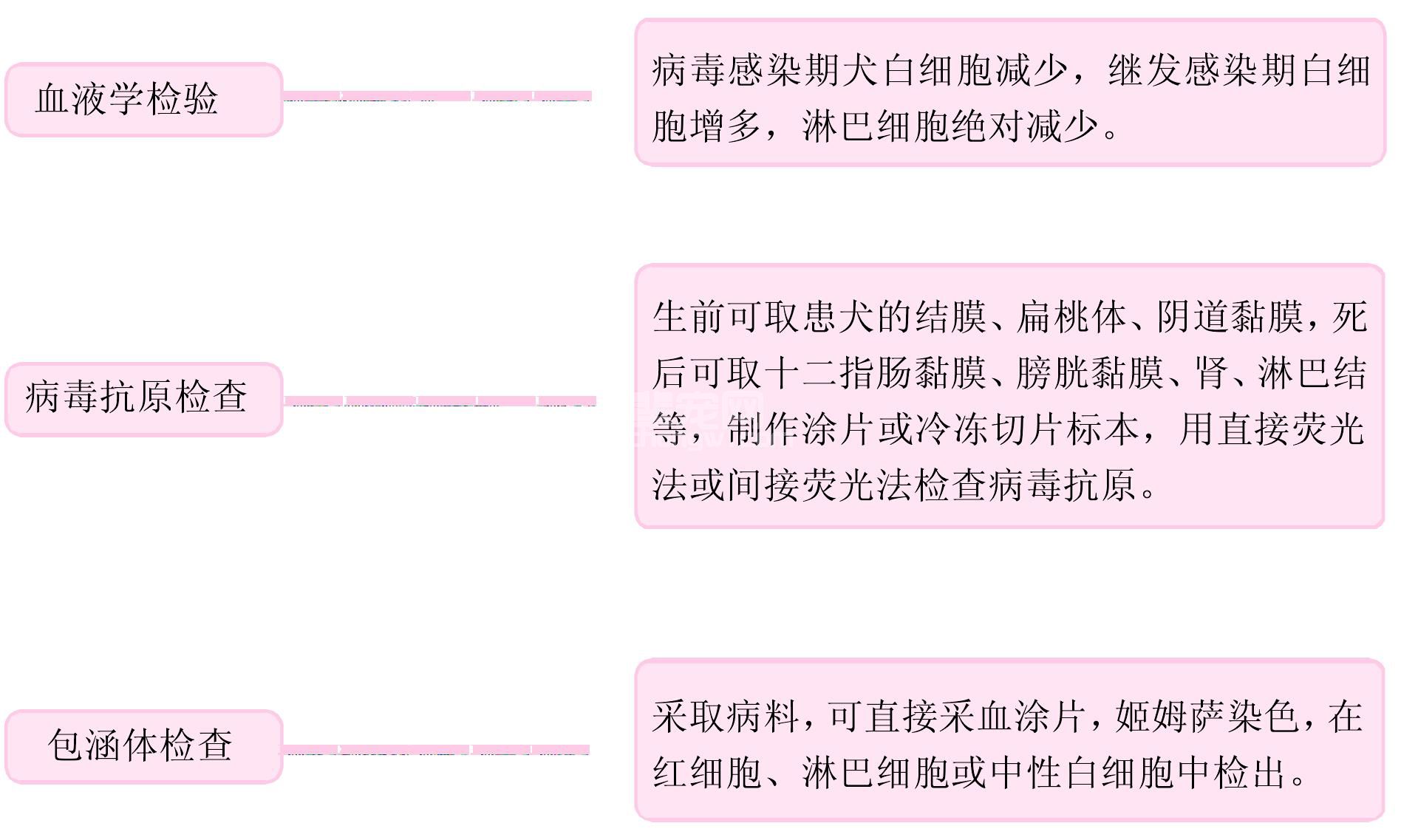 一、传染病的实验室检验诊断