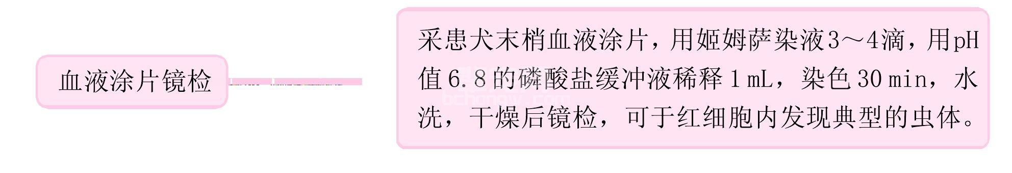 二、寄生虫病的实验室诊断%