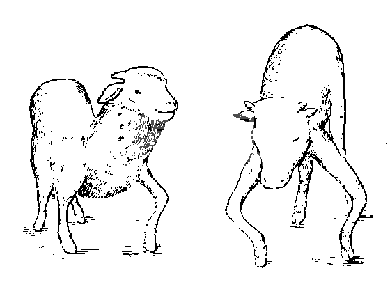 整体状态一般检查