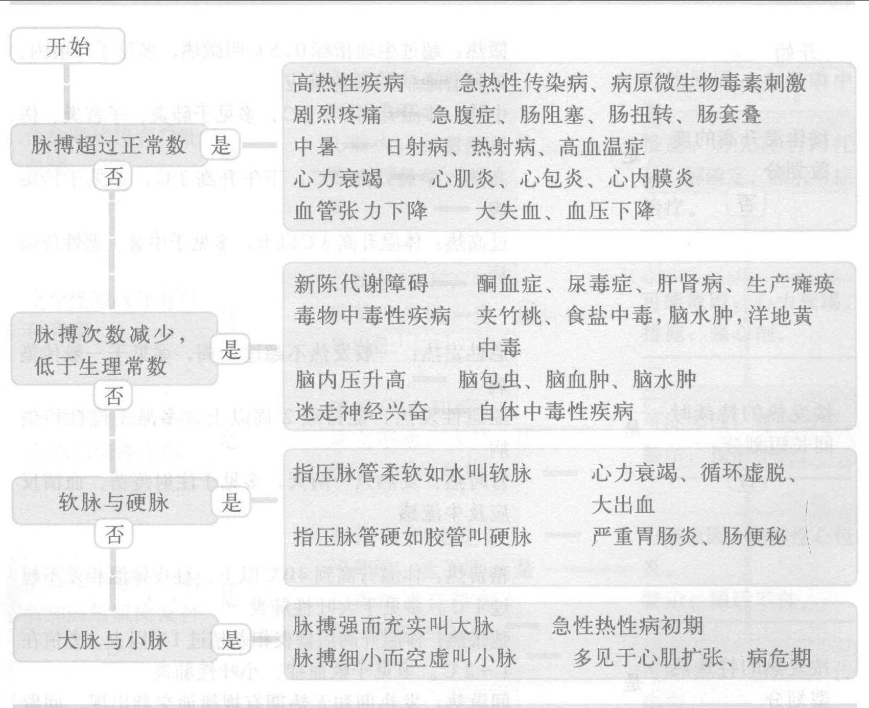 3.脉搏