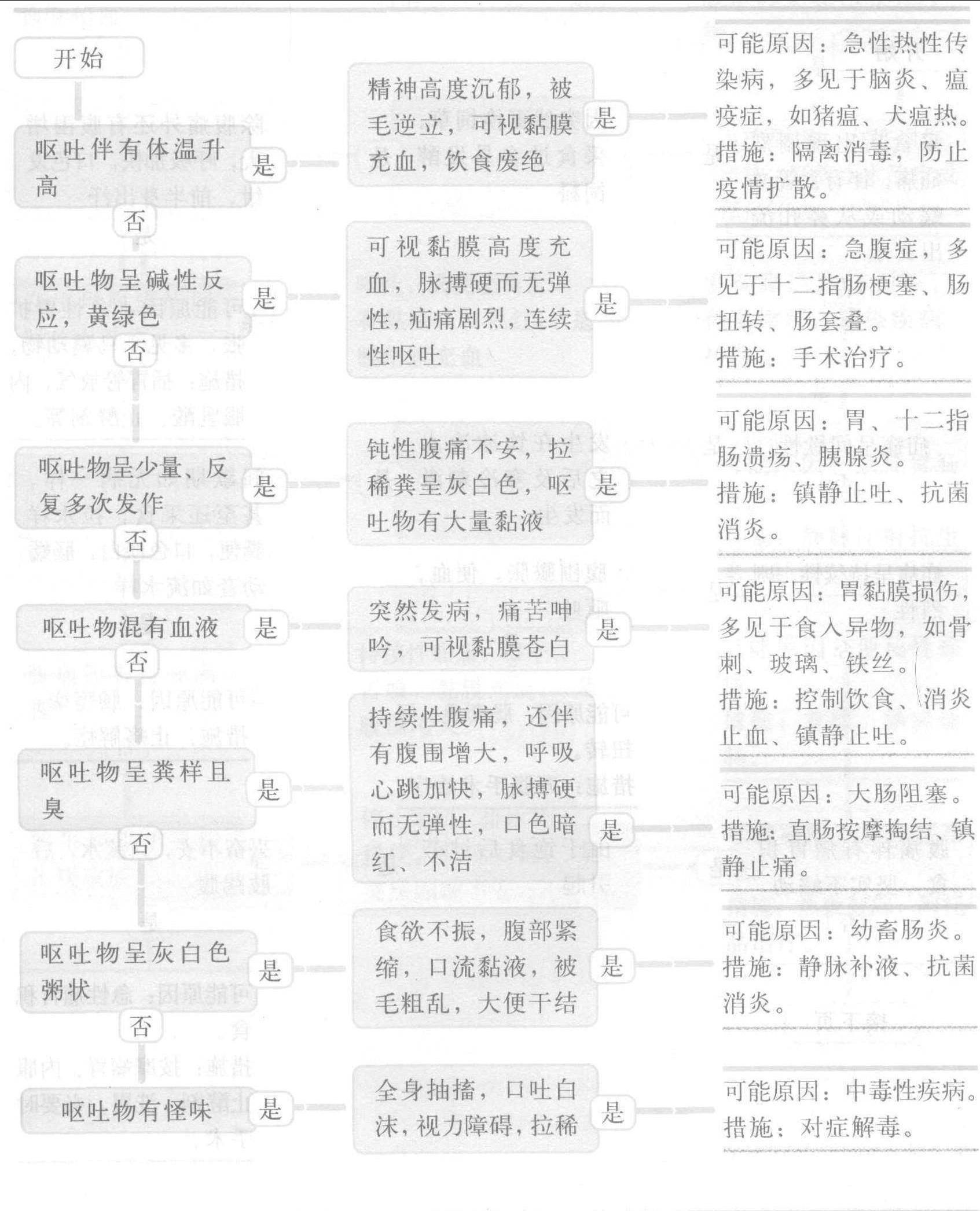 26.呕吐