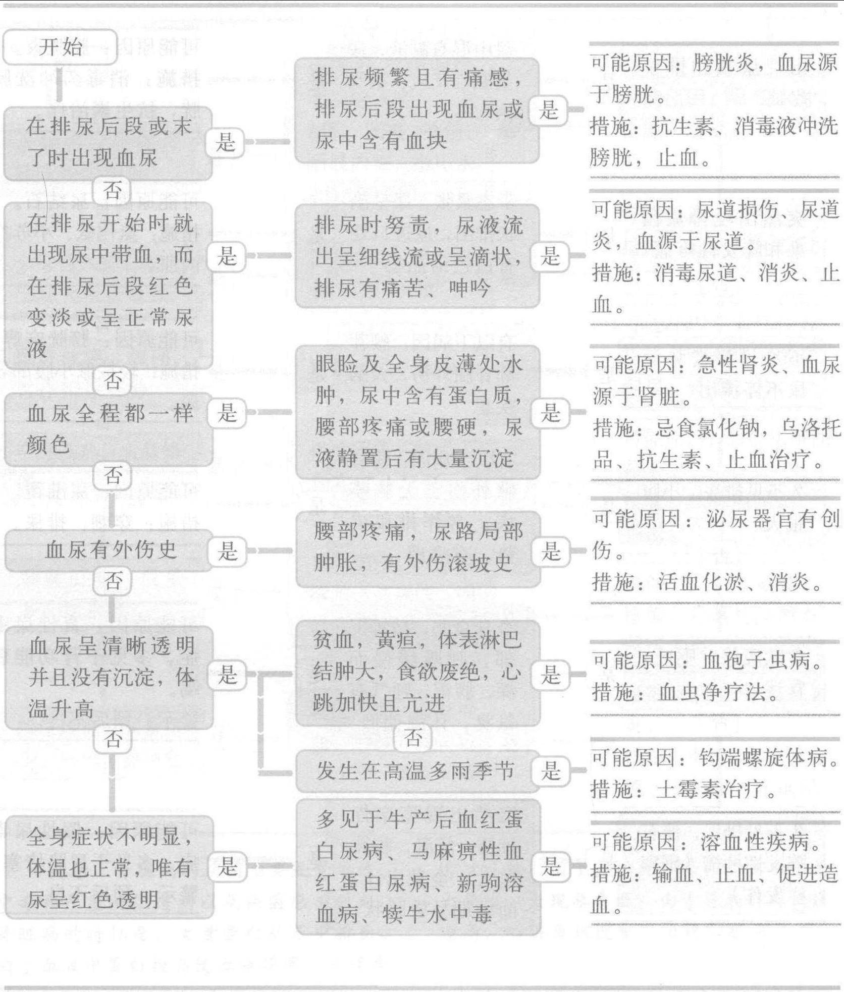3.血尿
