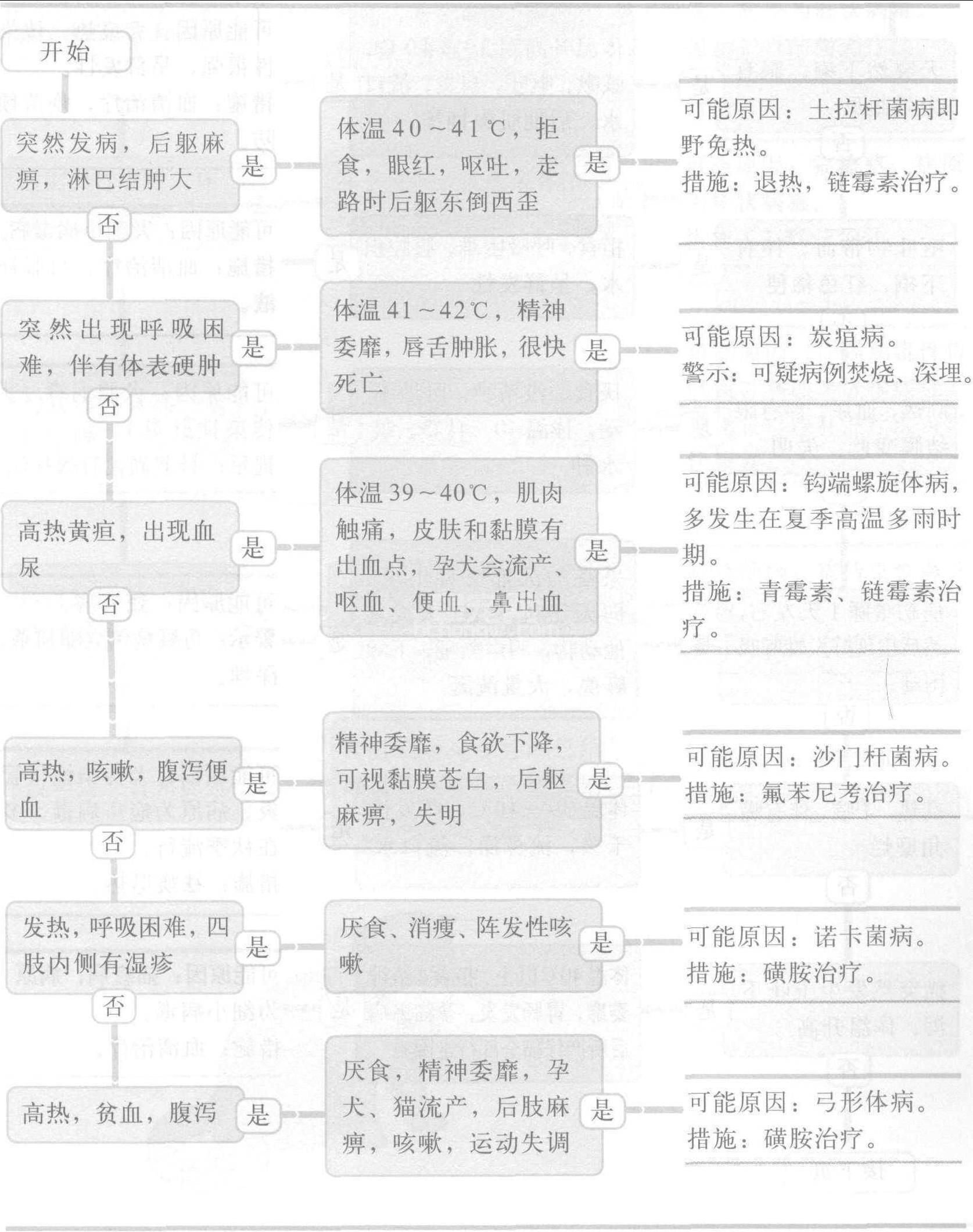 1.犬、猫细菌性传染病