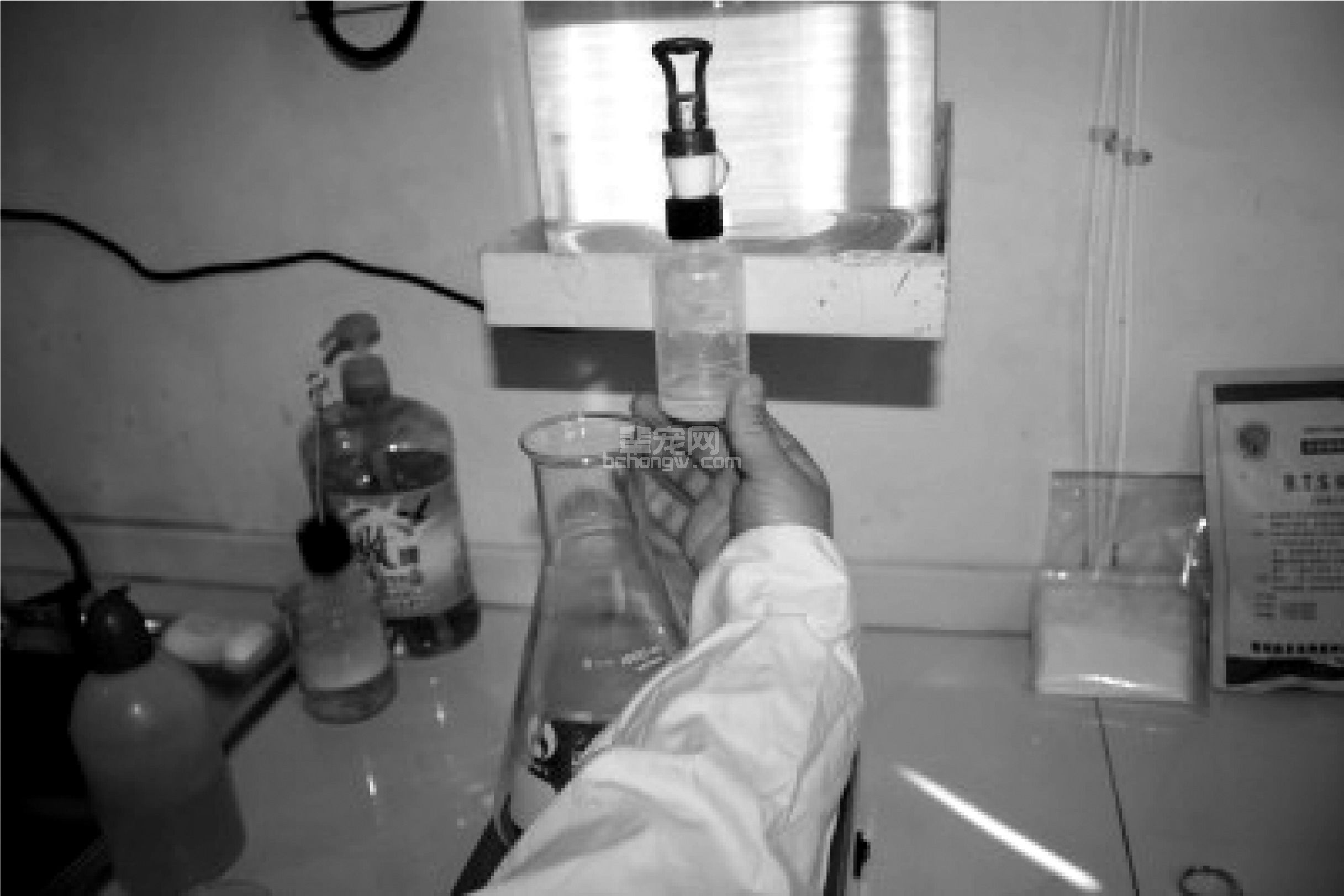 人工授精技术操作规程