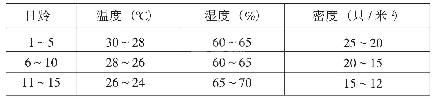 （五）鹅的饲养管理