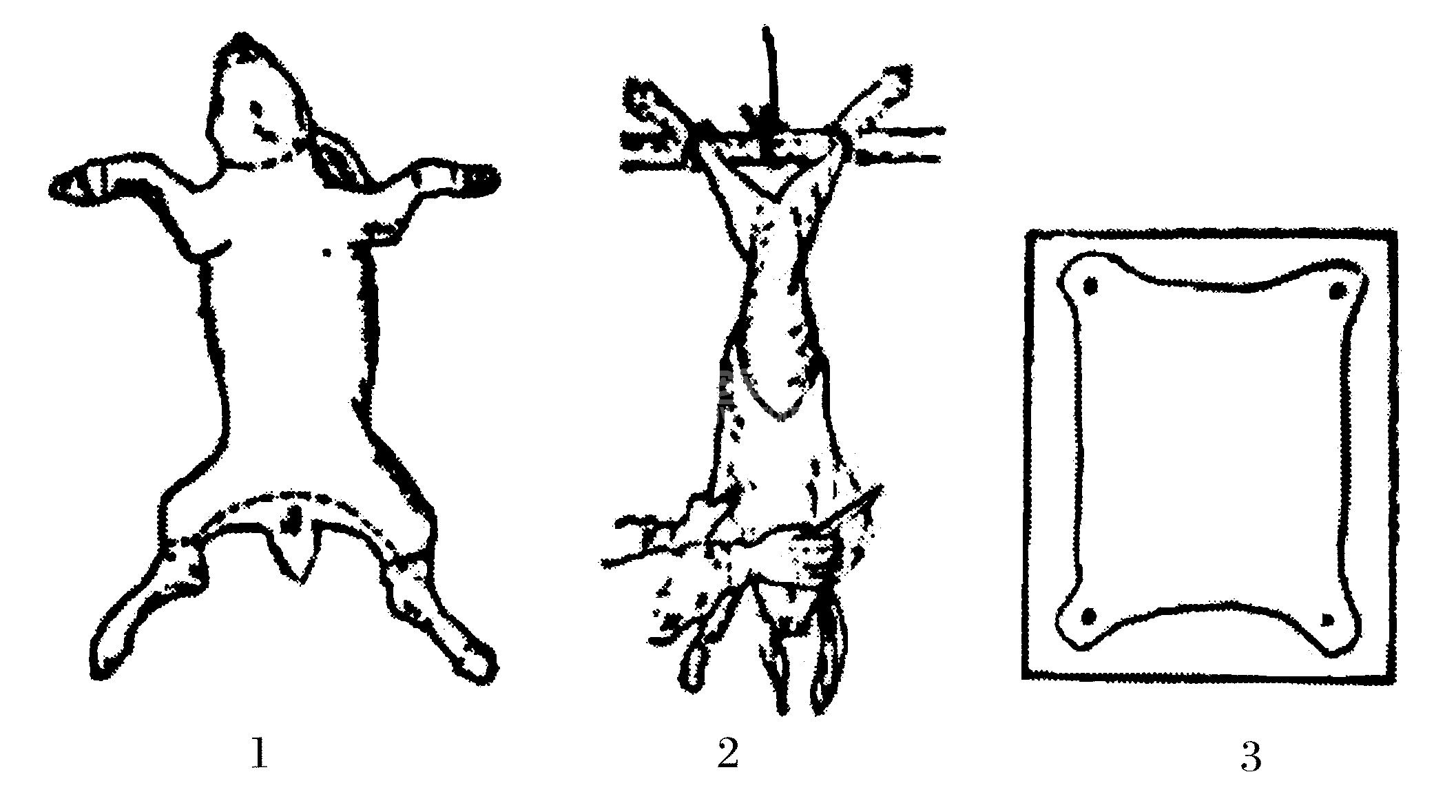 (一)毛皮加工技术