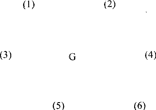 马传染性贫血防治技术规范*