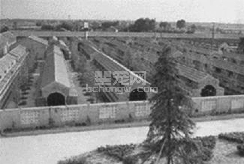 (四)养兔设备建造要求与标准