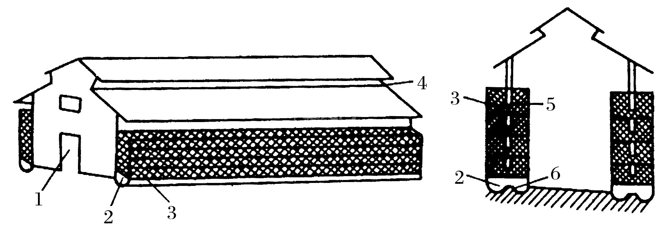 (一)商品肉鸽的饲养管理