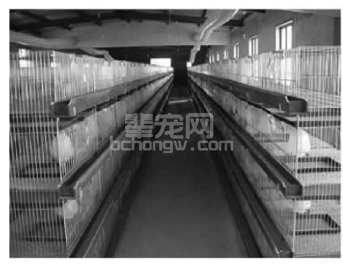 (三)生物安全保障体系建设