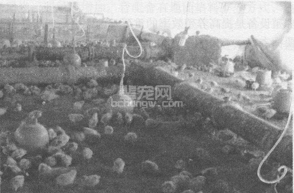 一、环境控制设备