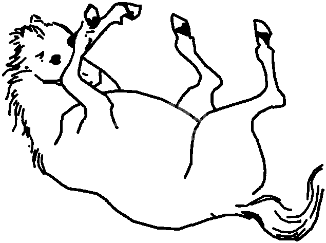 结症(肠阻塞、肠便秘)