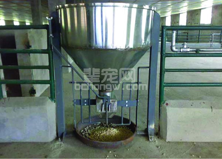 (二)不同猪舍建设设计