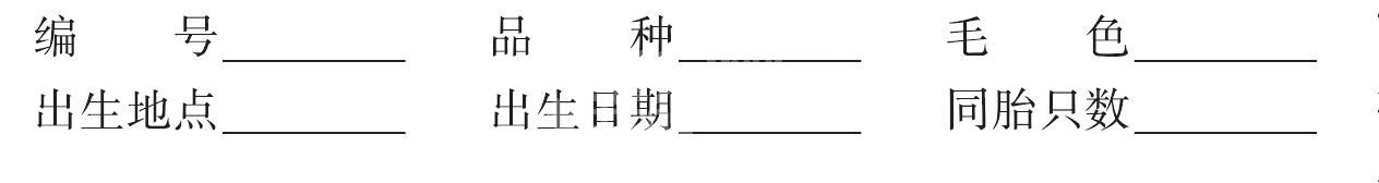 （一）绵羊的一般管理技术