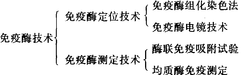 免疫酶技术