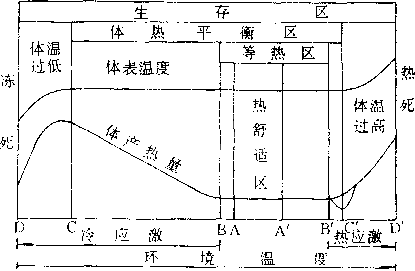 家畜体热平衡