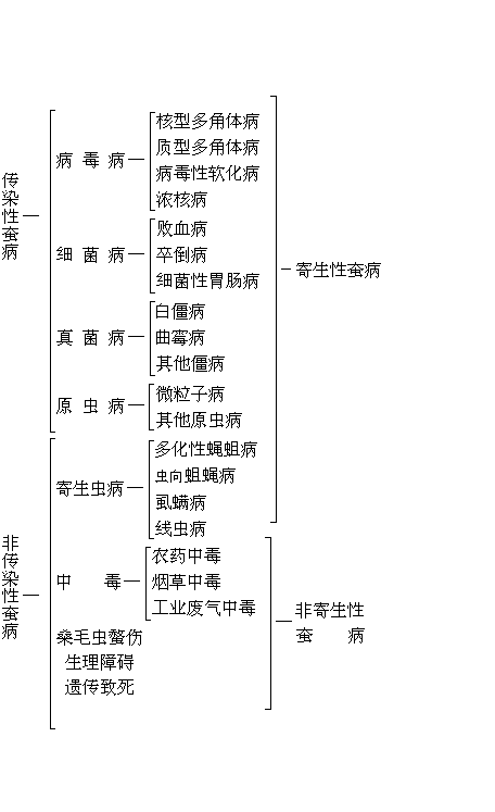 蚕病