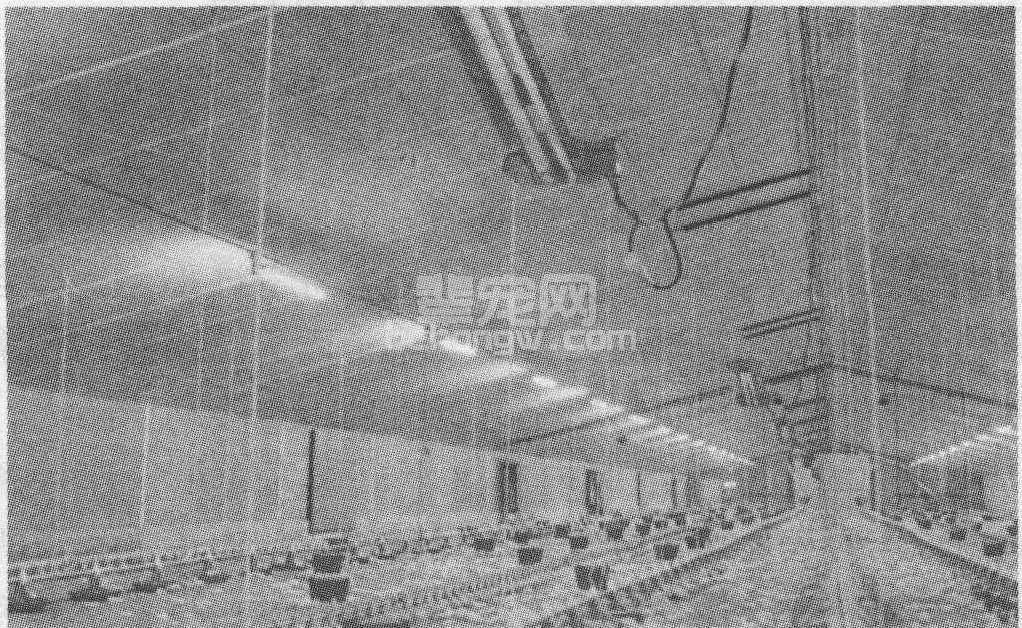 一、鸡舍设计的基本要求