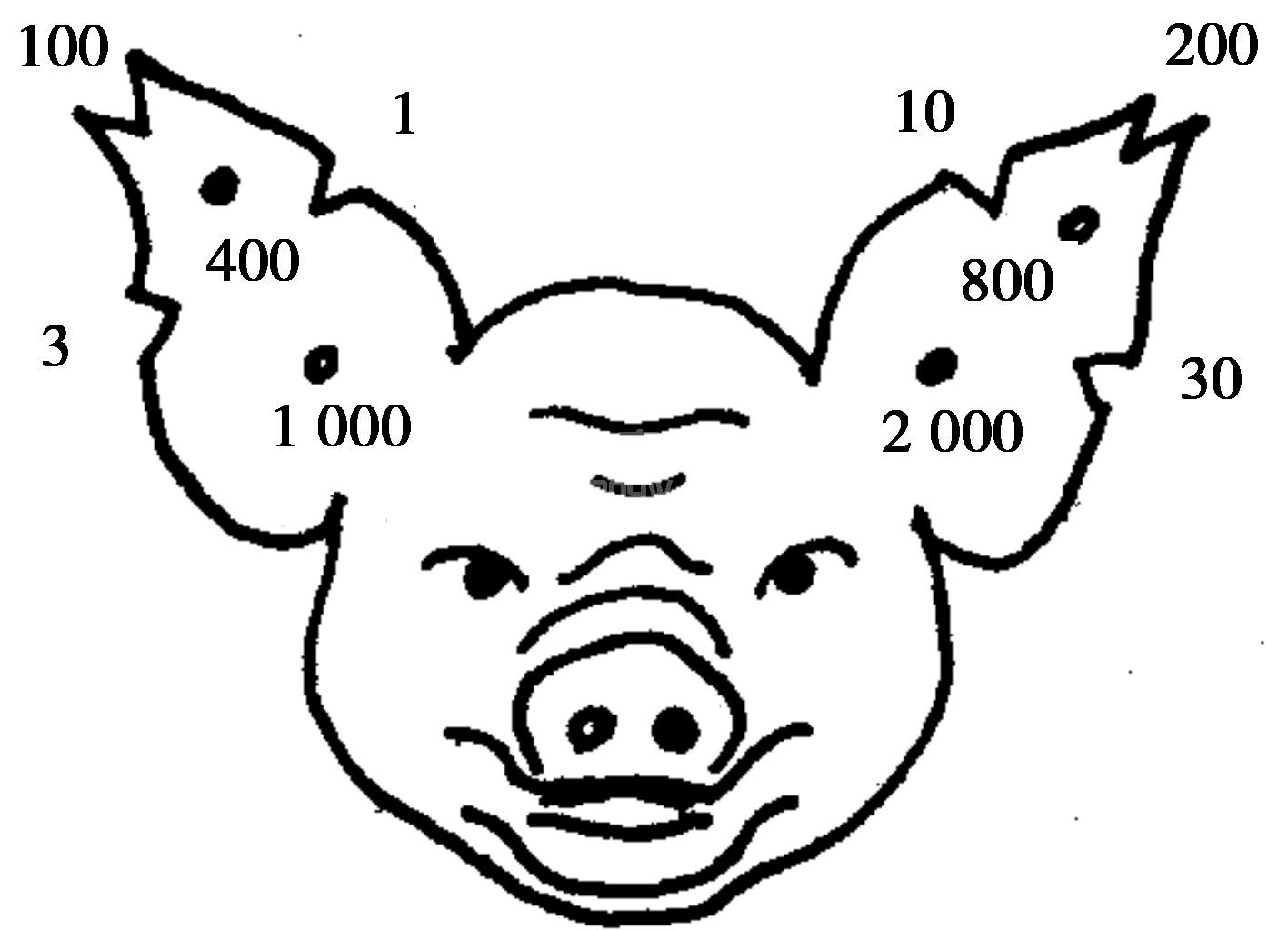 四、分娩、哺乳母猪的饲养与管理
