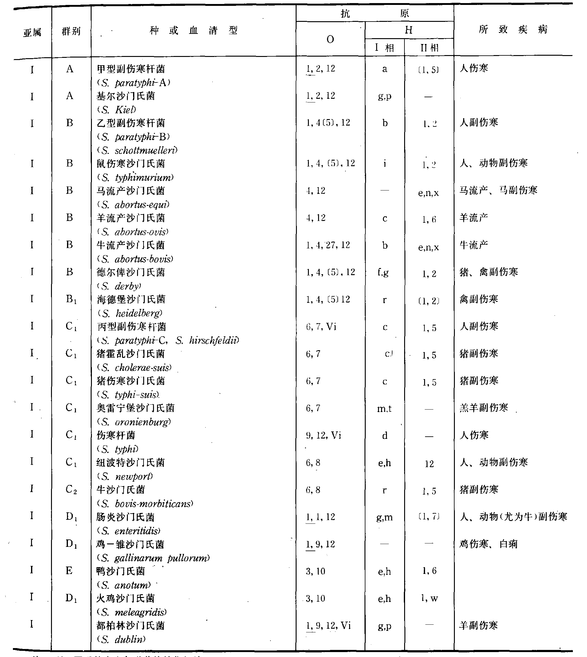 沙门氏菌属