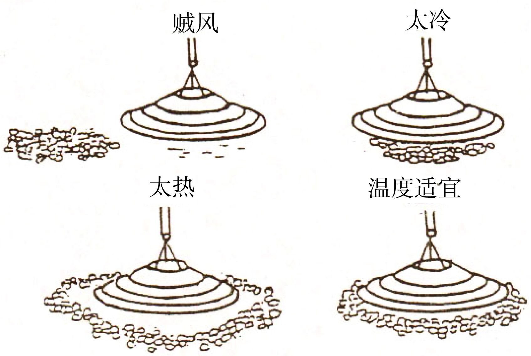 (三)育雏对环境的要求
