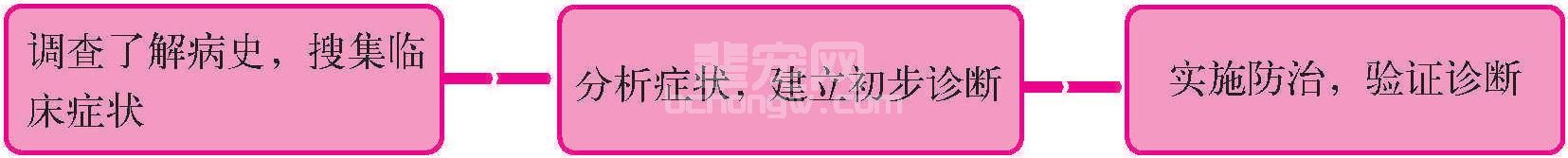 一、猪病个体的诊断