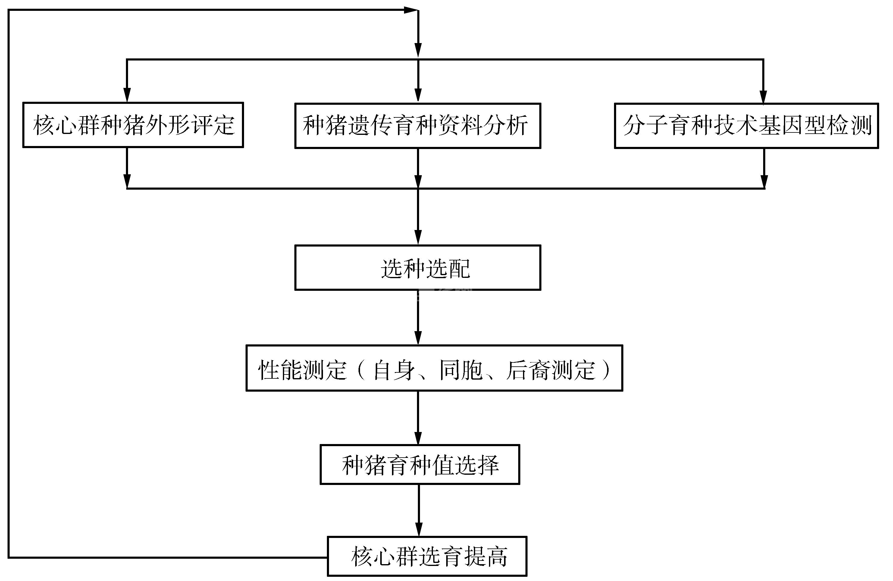 育种方案的实施