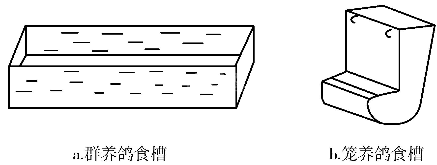 (五)养鸽的其他设备