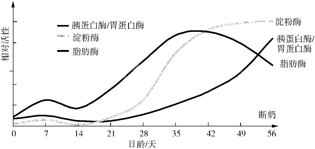 仔猪生理特征
