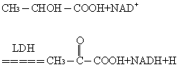 同工酶