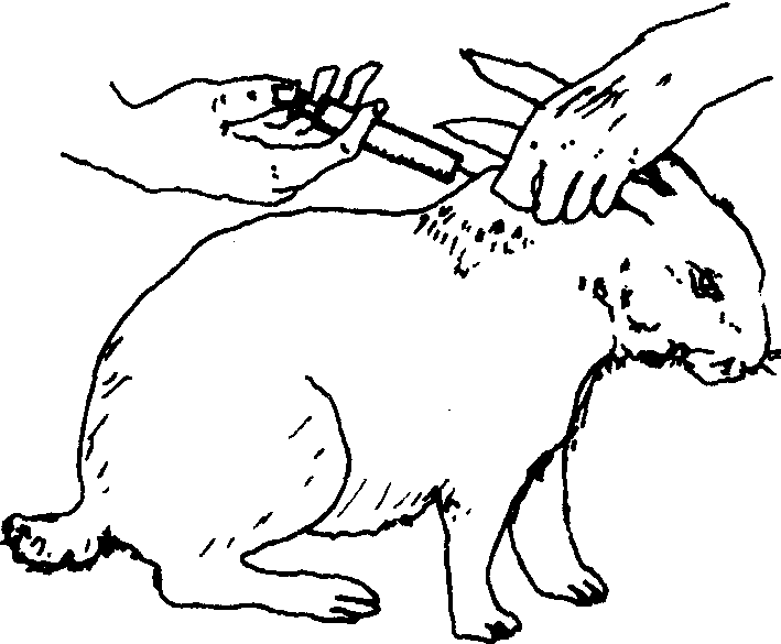 3.注射给药法