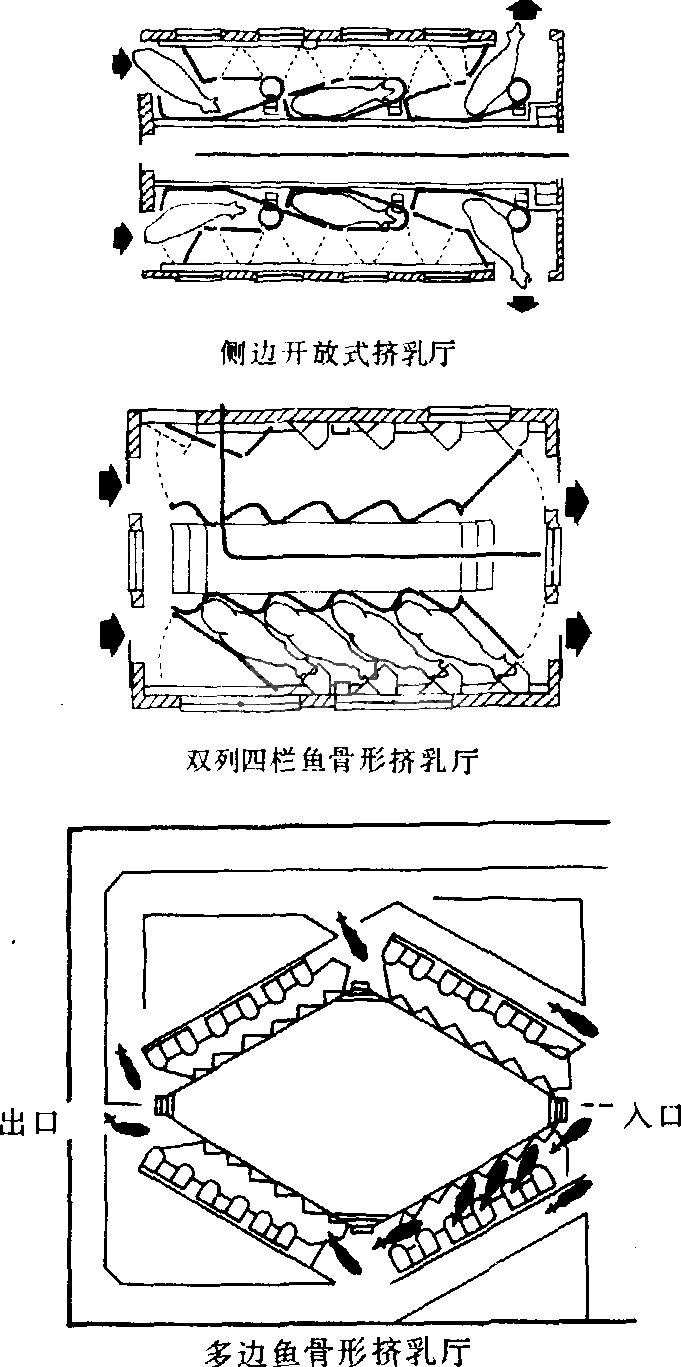 挤奶台