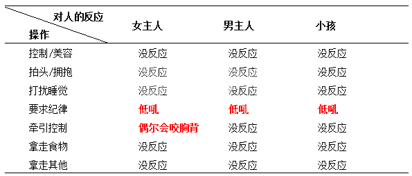 一例犬追车吠叫的行为治疗病例分享