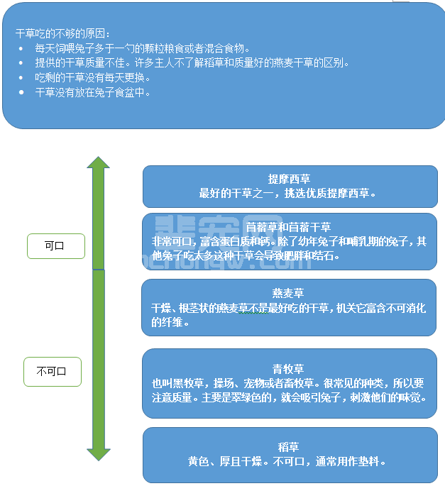 兔子的健康饮食